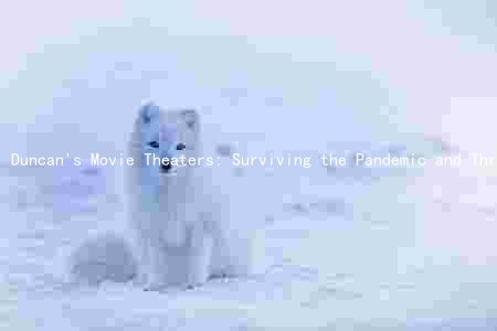 Duncan's Movie Theaters: Surviving the Pandemic and Thriving with Innovation
