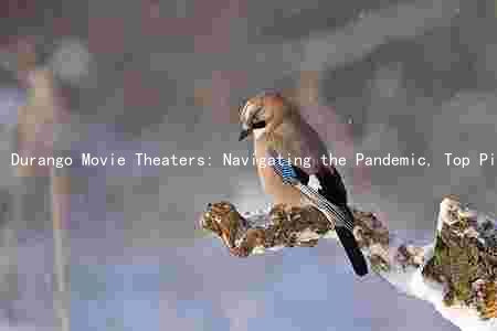 Durango Movie Theaters: Navigating the Pandemic, Top Picks, and Unique Features