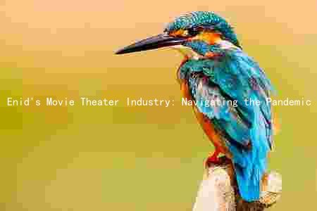 Enid's Movie Theater Industry: Navigating the Pandemic and Embracing Innovation